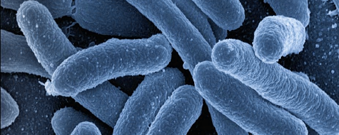 Resolve Listeria Outbreaks Without Chemicals